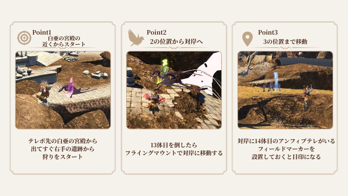 アンフィプテレ狩りの3ポイント