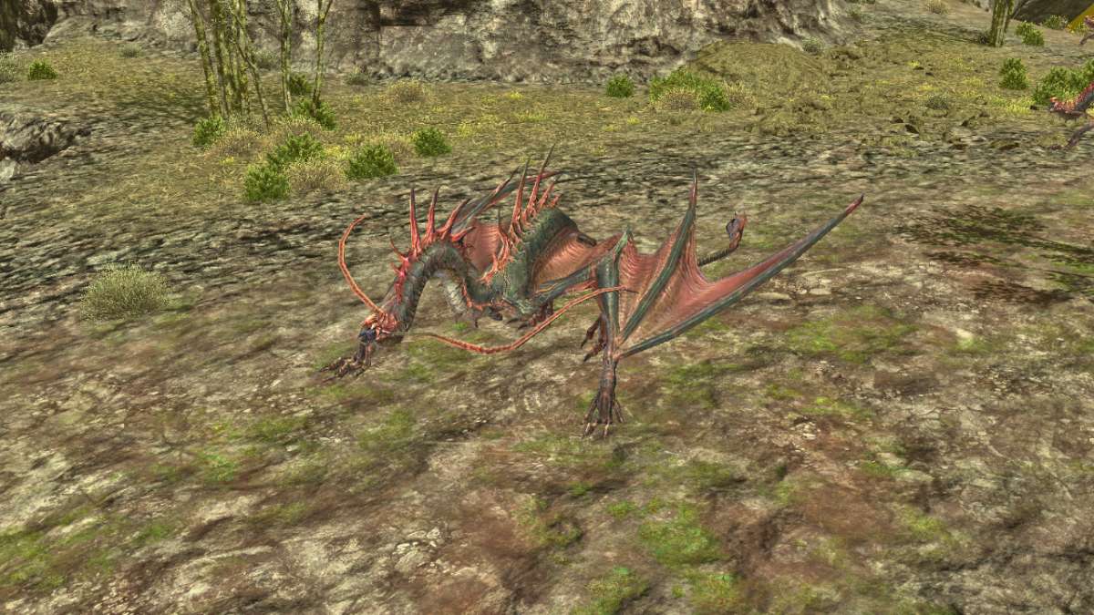 メラシディアン・アンフィプテレの画像