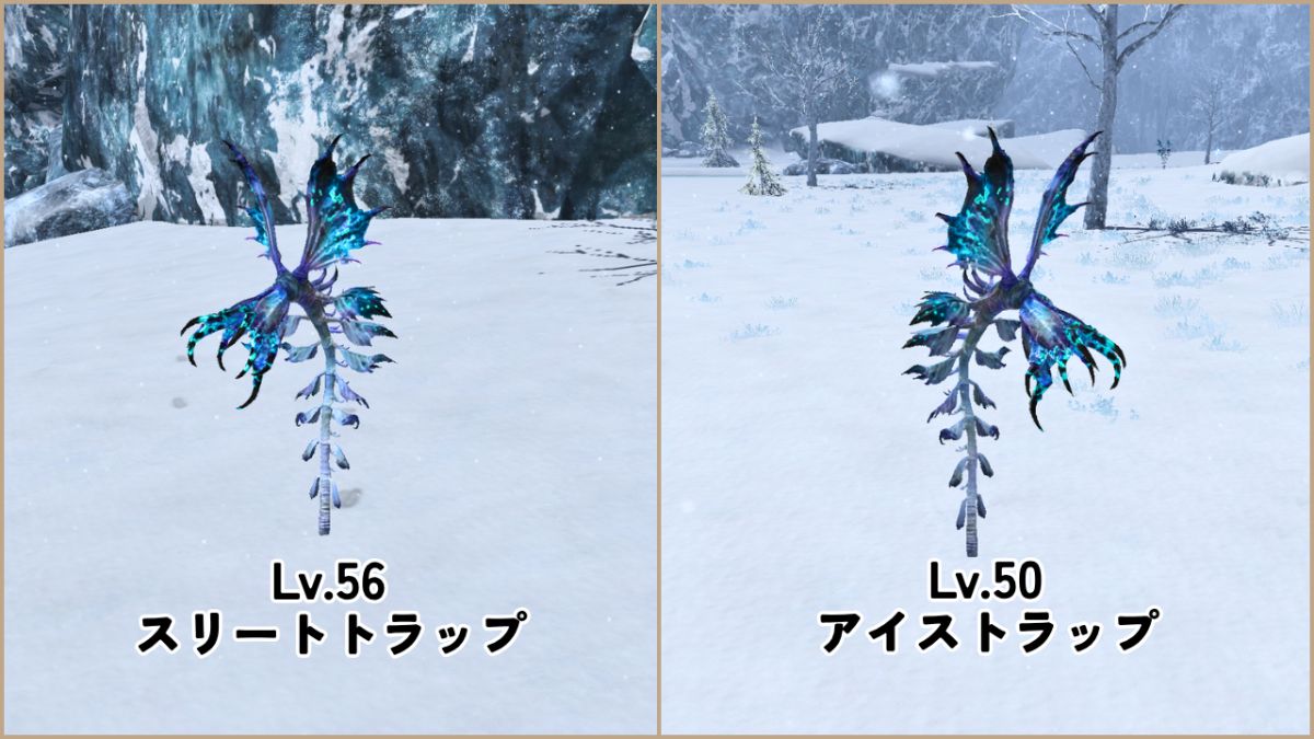 2種類のアイストラップの葉狩りスポット