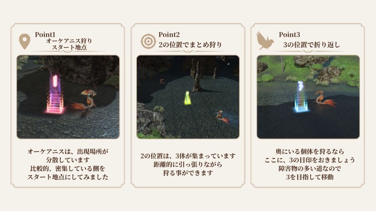 オーケアニス狩りの3ポイント