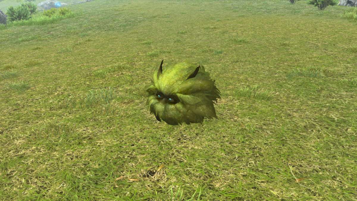 ハルガイ狩りスポット